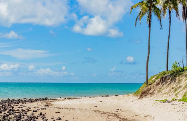 Spiaggia di Maracajaú - Tour di un giorno intero - Foto 2